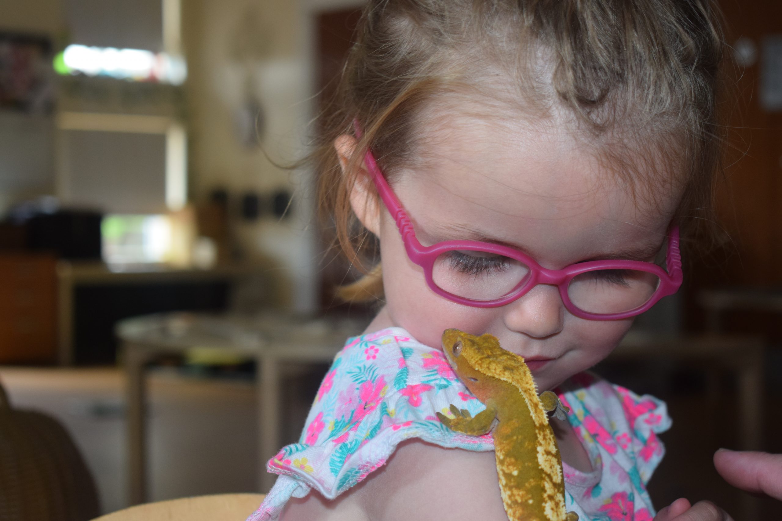 Making Memories Hindley Nursery School